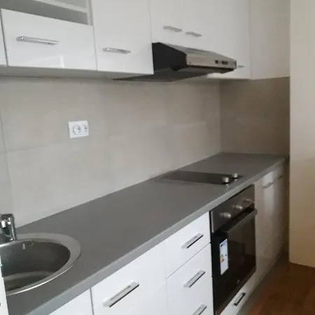 Jovana Stan Na Dan Apartamento Pale