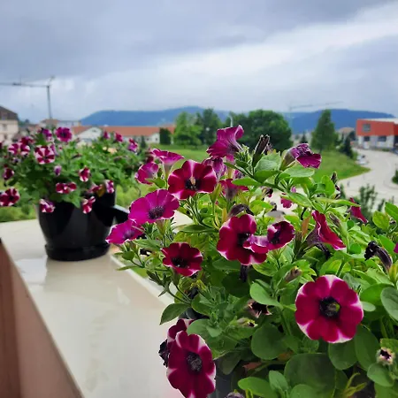 شقة Jovana Stan Na Dan