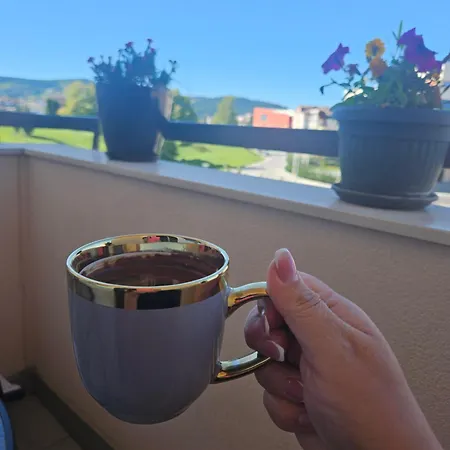 Jovana Stan Na Dan *